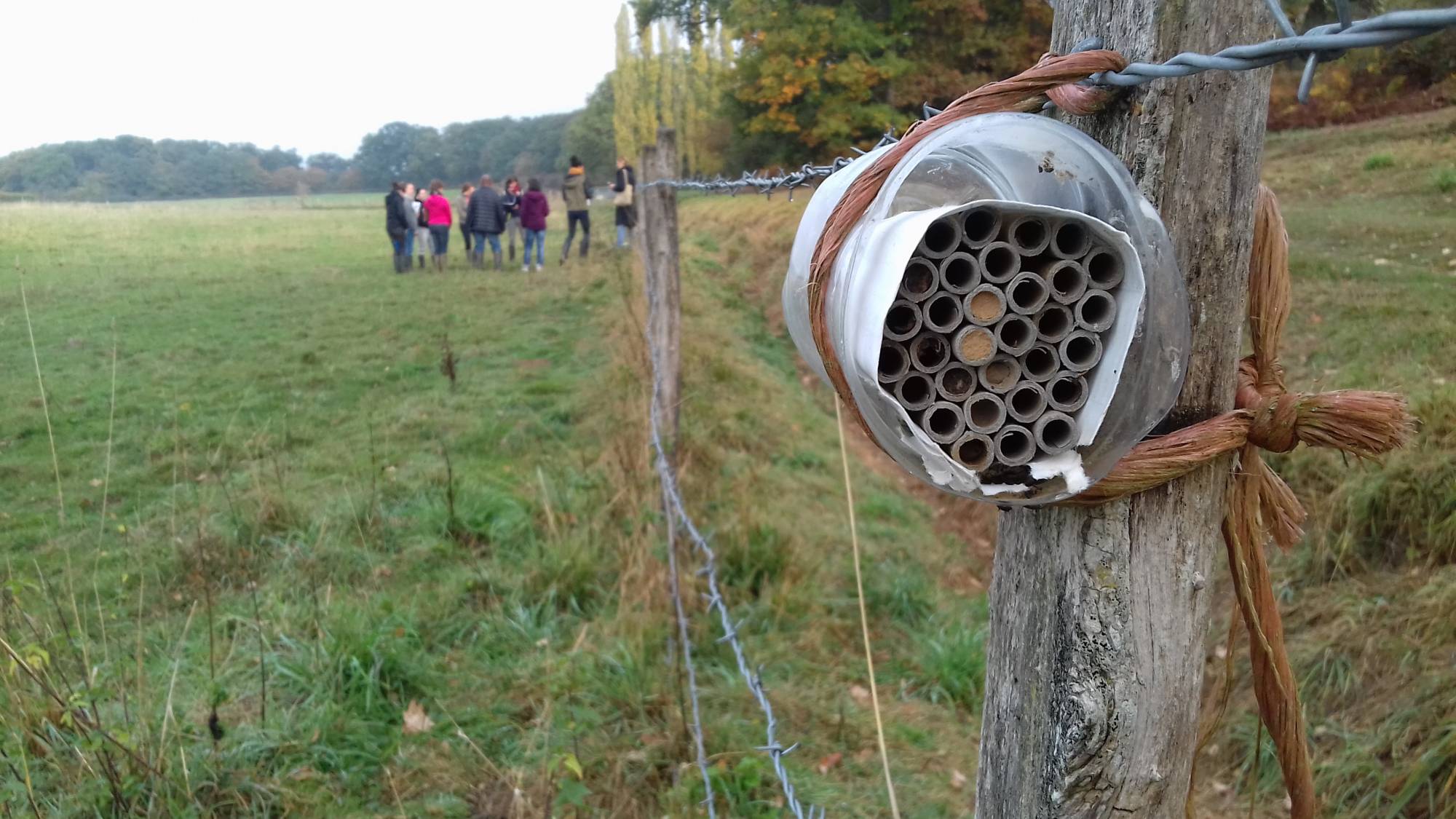 Au premier plan, un nichoir pour abeilles sauvages, qui permet de suivre la reproduction de ces abeilles en comptant le nombre de tubes occupés (= bouchés, ici par de la terre)